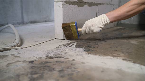 SJ Waterproofing Pros Emergency Waterproofing coverage map for Delano, MN and surrounding area